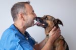 Veterinaire