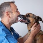 Veterinaire