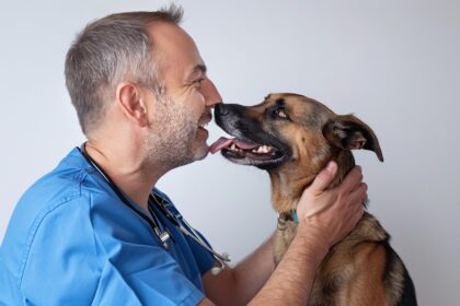 Veterinaire
