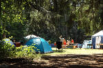 Camping avec des tentes