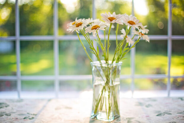 Pour garder un bouquet de fleurs plus longtemps, il faut couper les tiges en biais ou changer l’eau tous les deux jours. Demandez conseil à votre fleuriste pour tous les gestes simples jour après jour.